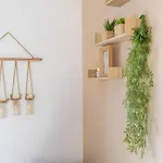 Cocoon Cosy Coeur De C4 بوكير